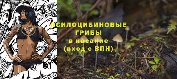 а пвп мука Покачи